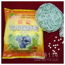 探索食用菌產業的源頭 菌種批發、供應、廠家與進出口全解析